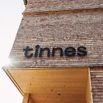 Tinnes *