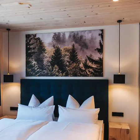 Apartment Tinnes Schoppernau