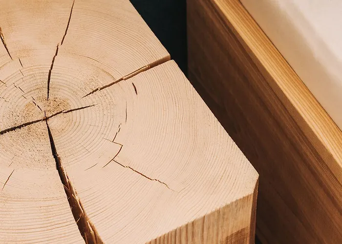 Appartamento Tinnes Schoppernau